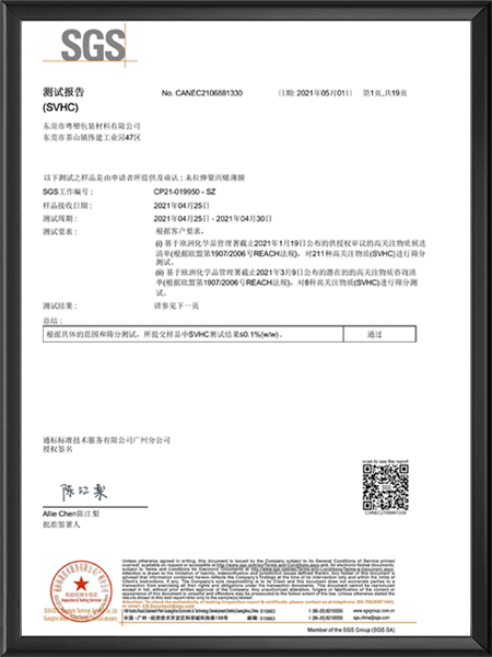 粤塑CPP报告SVH...